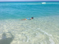 Snorkeling in Bimini